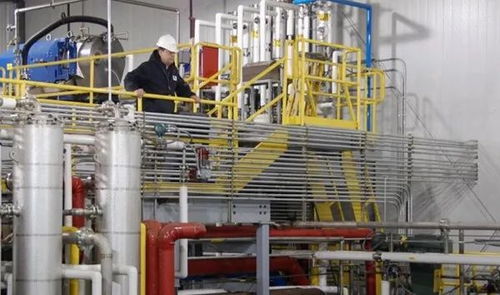 大麻造飛機(jī),蒲公英變輪胎,如何抓住神奇的生物經(jīng)濟(jì)